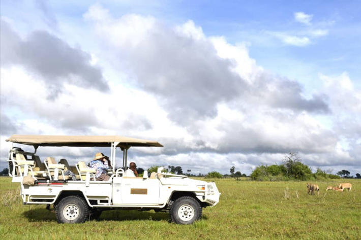 safari vehicle and lions