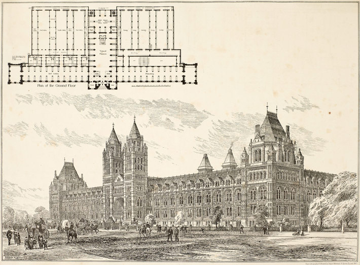 Lithograph of Natural History Museum